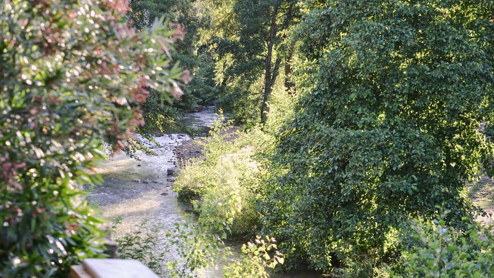 Gites De La Soulondre Lodeve Bagian luar foto
